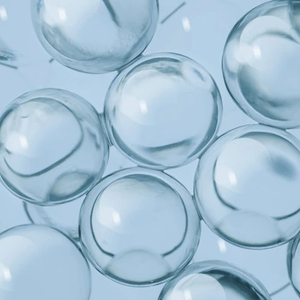 Ceramide Complex